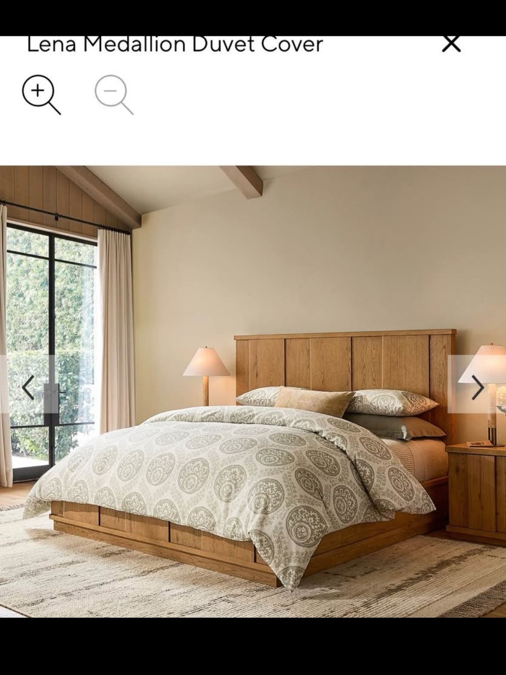 Pottery Barn Queen Duvet and 2 Euros (EUC)